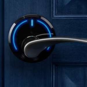 WhatsApp Image 2023-11-23 at 16.25.56